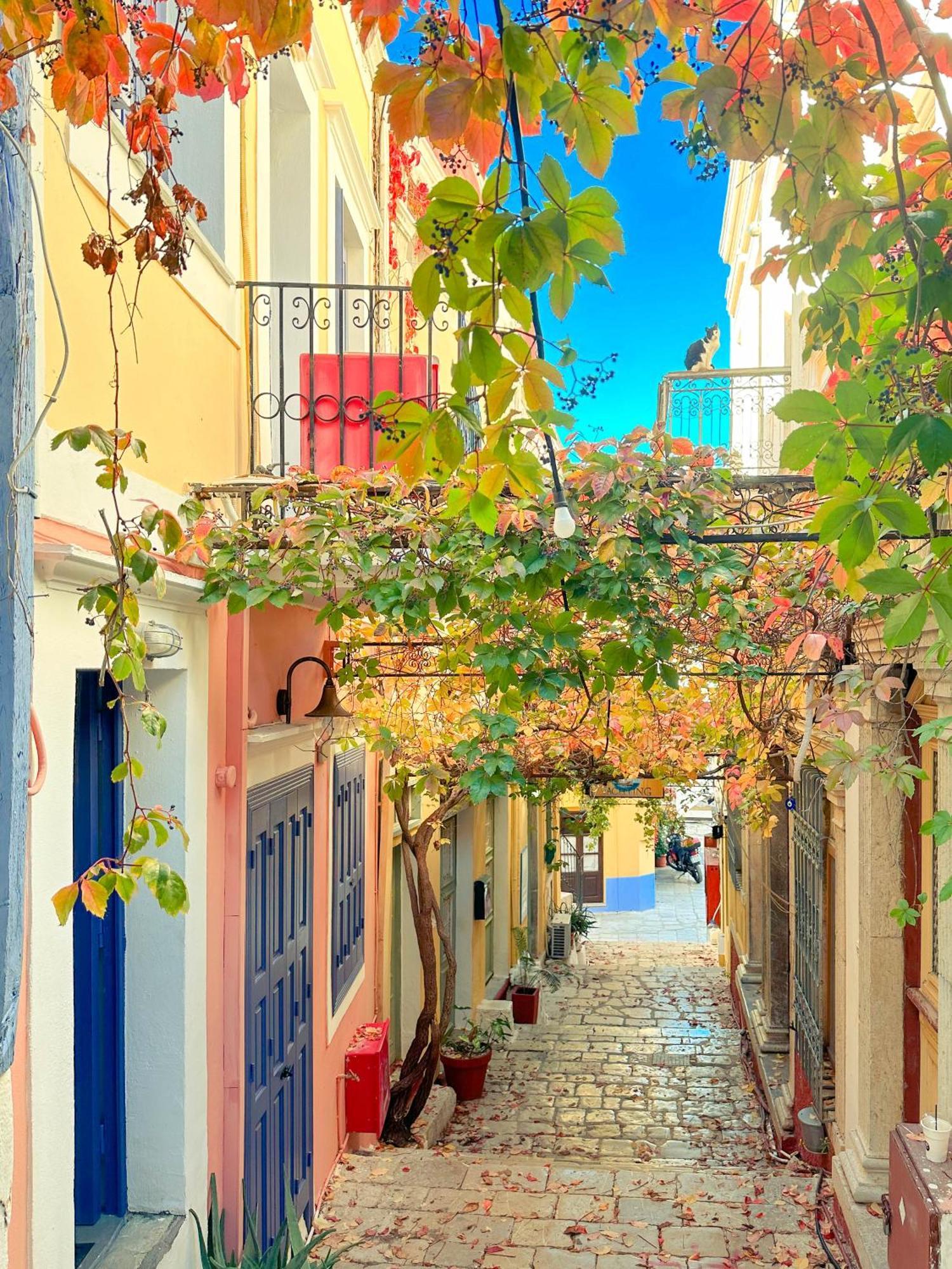 Kali Strata 2 - Downtown Διαμέρισμα Σύμη Εξωτερικό φωτογραφία